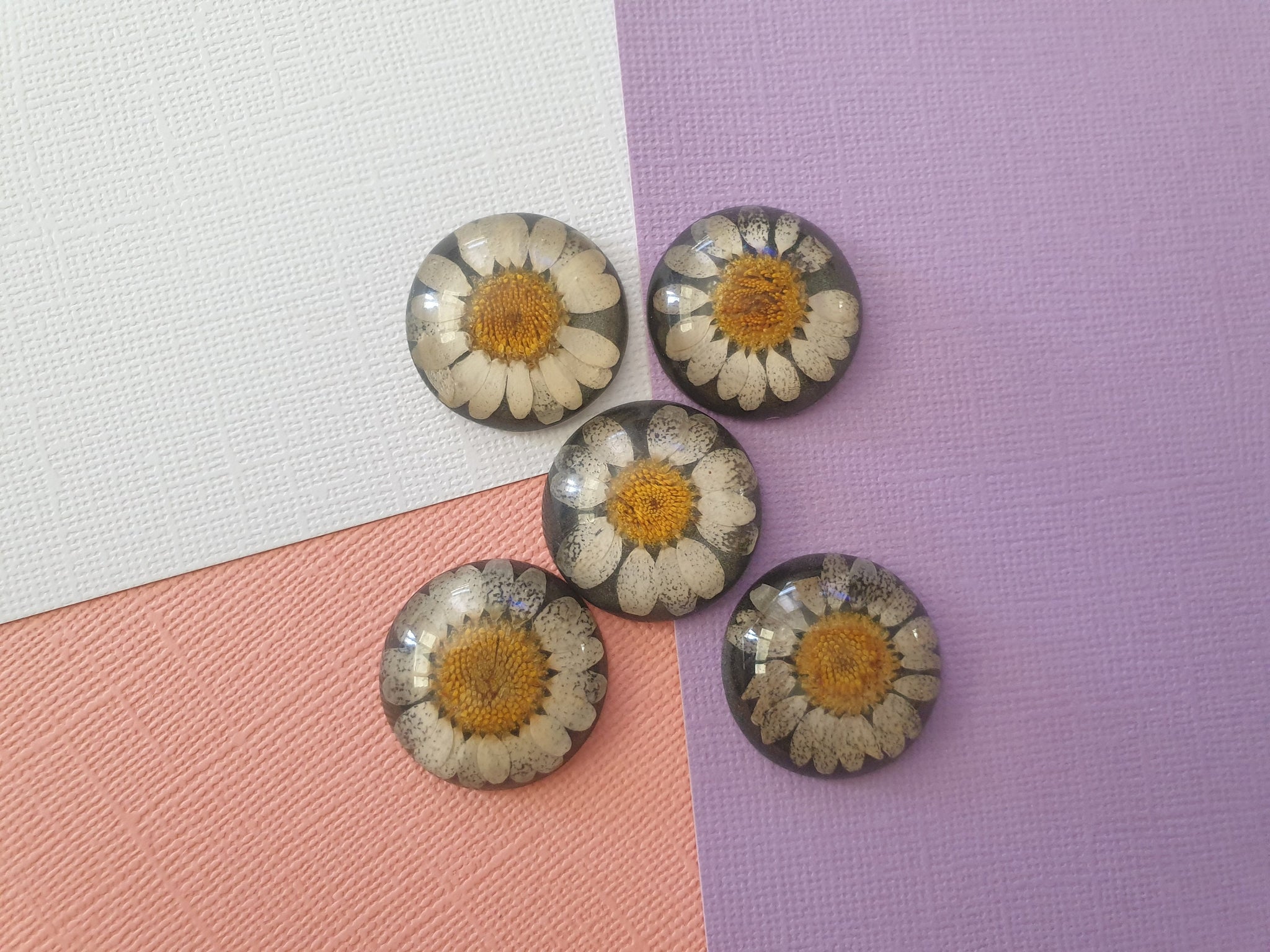 5pcs 25mm Natural Dried Flowers Flat Back Resin Cabochons Cameo, Jewellery supplies, findings, wholesale australia, DIY necklace, bracelet