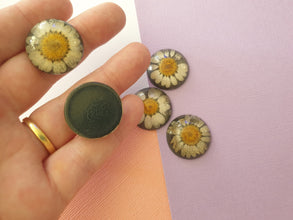 5pcs 25mm Natural Dried Flowers Flat Back Resin Cabochons Cameo, Jewellery supplies, findings, wholesale australia, DIY necklace, bracelet